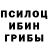 Галлюциногенные грибы прущие грибы TYUBAEV