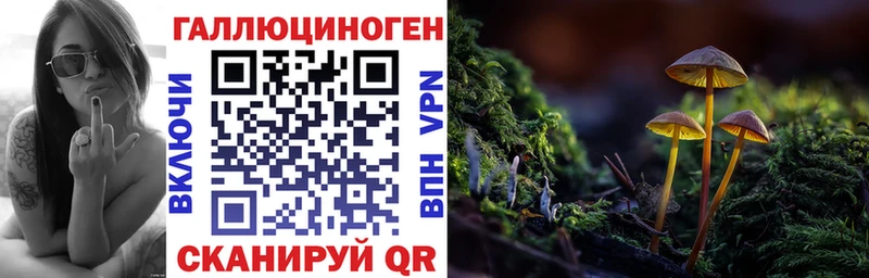 Псилоцибиновые грибы мухоморы  даркнет сайт  Челябинск 