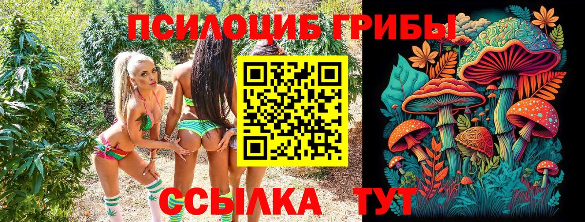 где продают наркотики  Галлюциногенные грибы мухоморы  Вход с VPN  Челябинск  Галлюциногенные грибы прущие грибы 