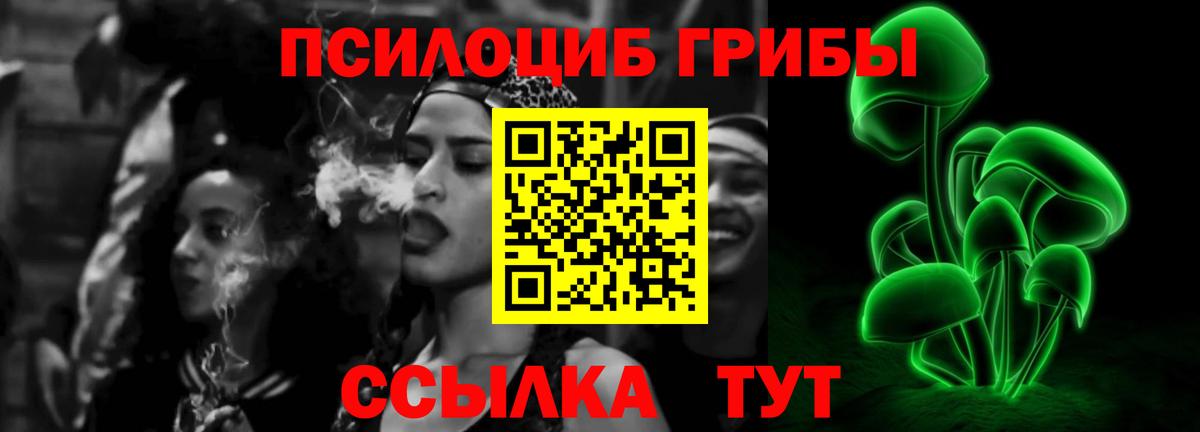 Псилоцибиновые грибы Cubensis Челябинск